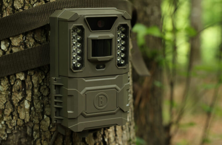 Prime Trail Camera strapped to a tree in the woods
