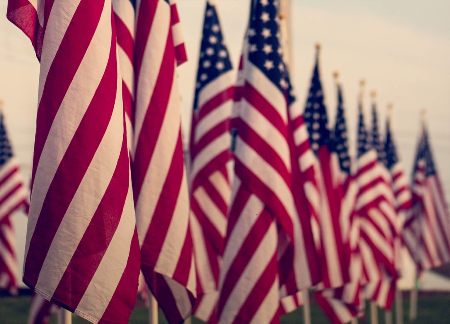 Group of American flags