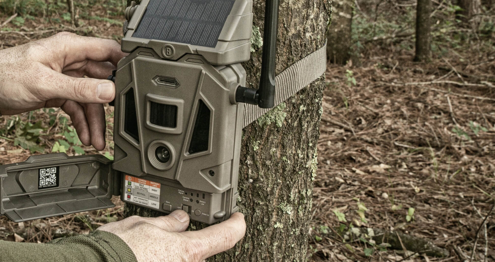 Bushnell Trail Camera Strapped to a Tree.