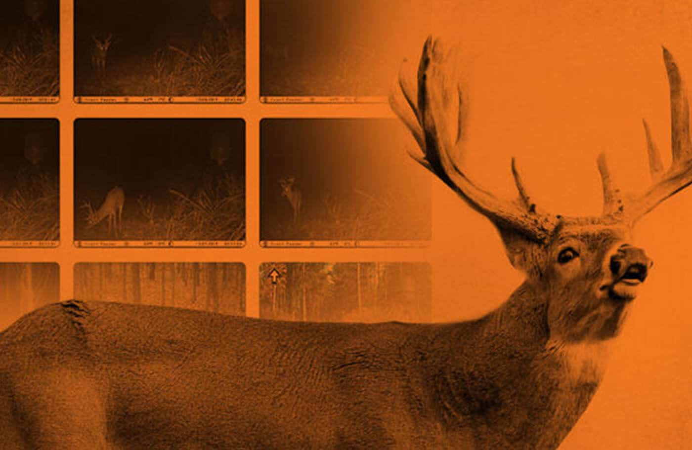 hunting camera wireless