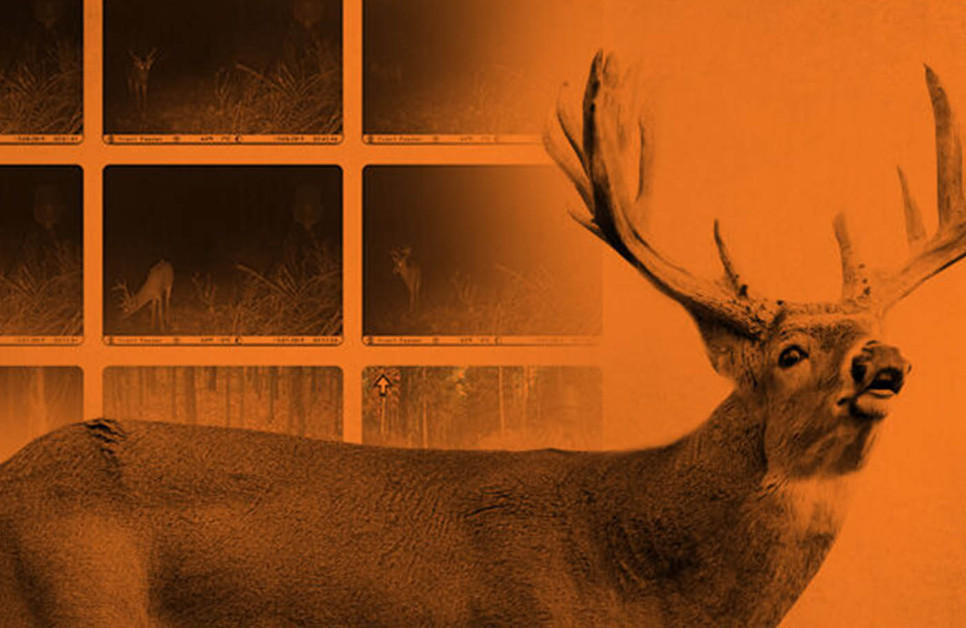 Trail Cameras, Game & Hunting Camera