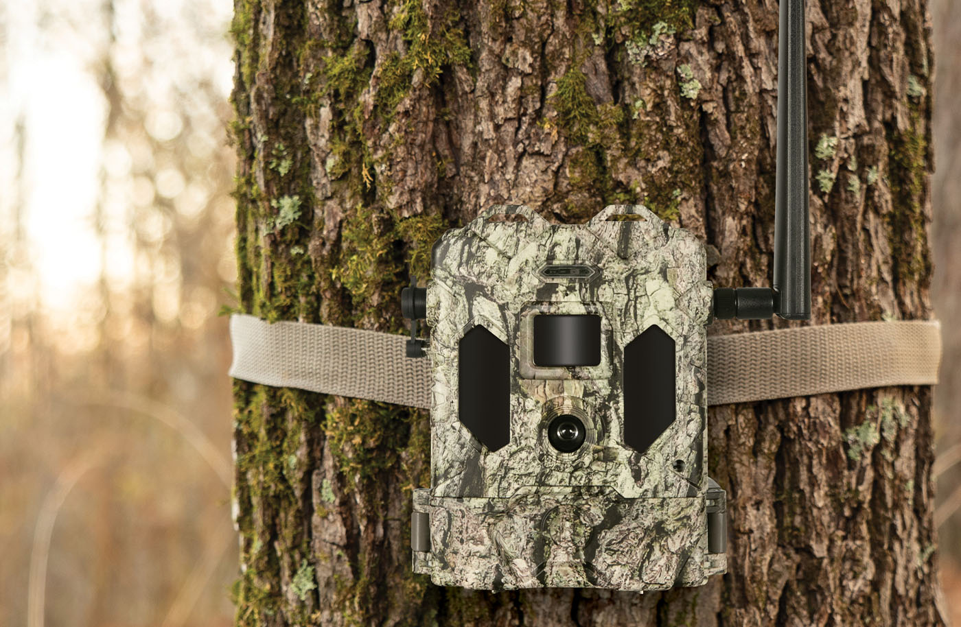 CelluCORE Live Trail Camera