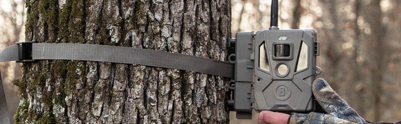 Trail Cameras