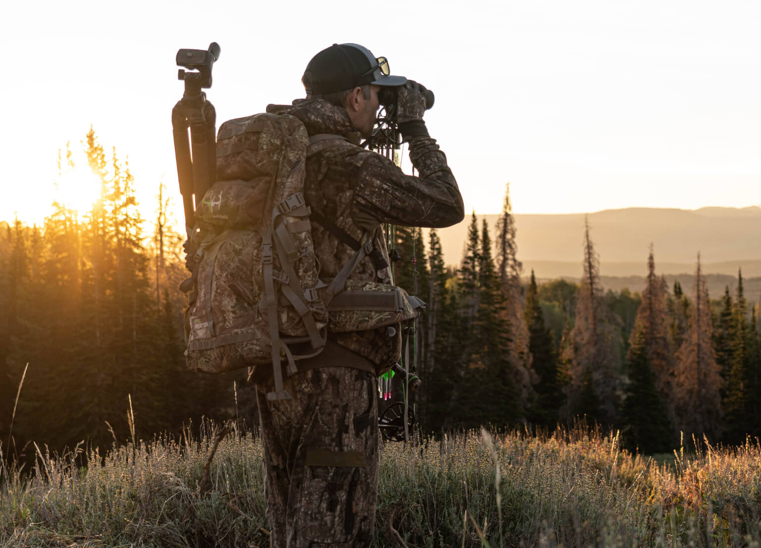 Professional guide looking through binoculars at a grassy landscape with mountains in the background