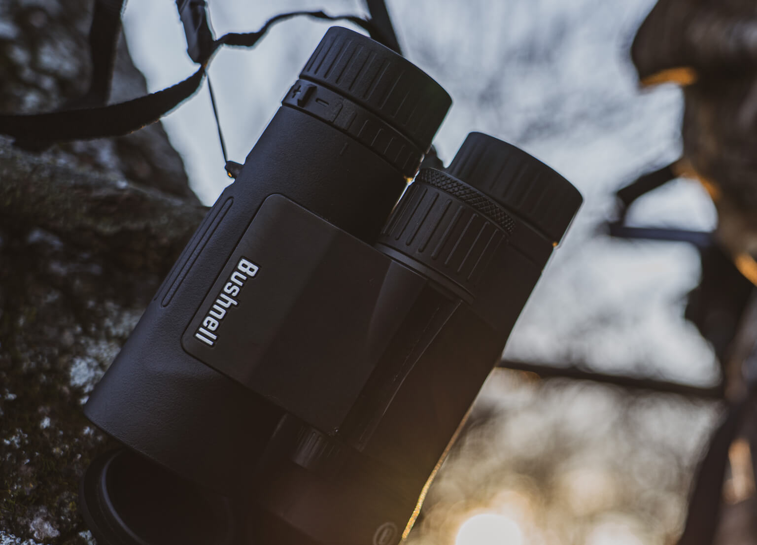 Bushnell Binoculars in the woods being lit by the early morning sun