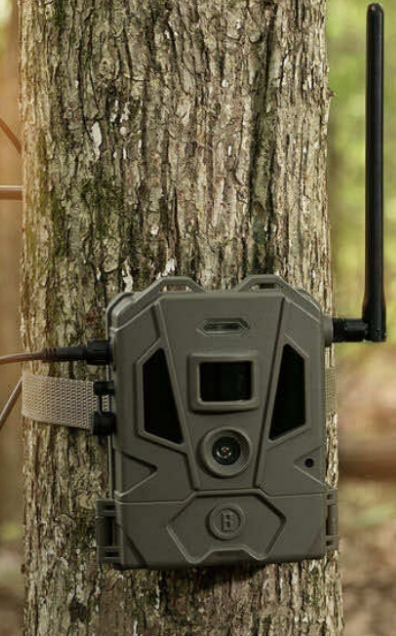 Cellular Trail Camera