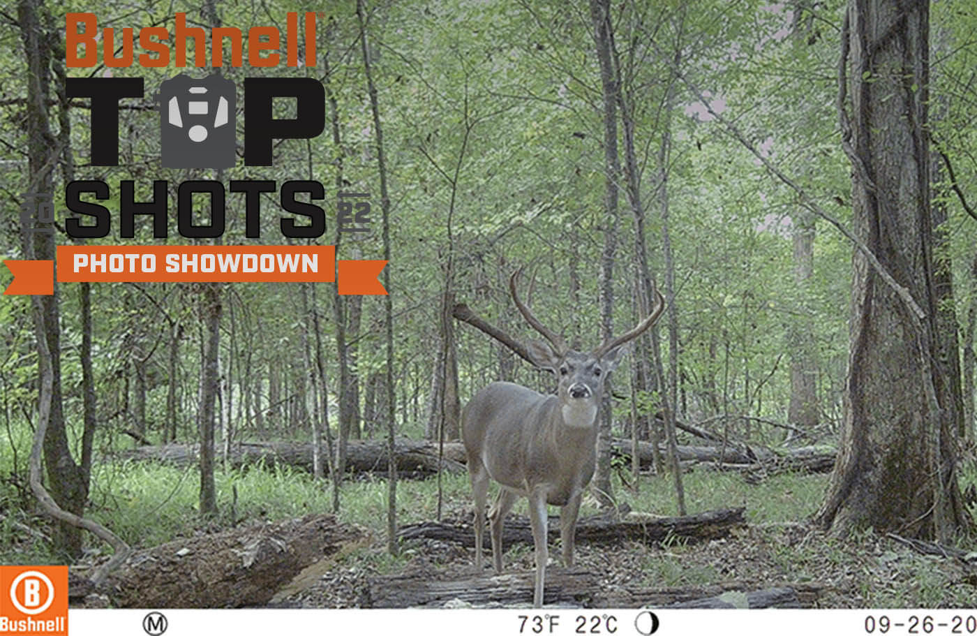 Top Shot Submission